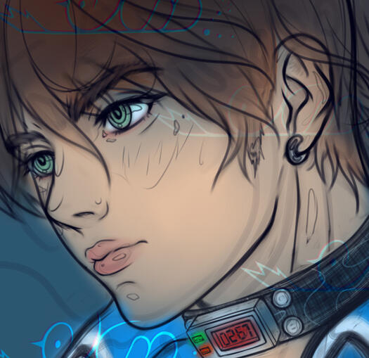 steve sketch-100$usd. (for quality)